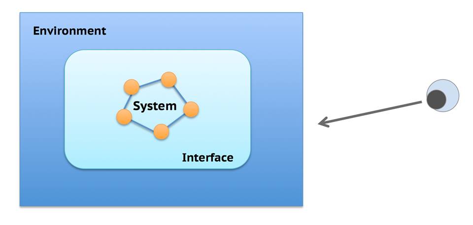 We observe the system through the system's interface
