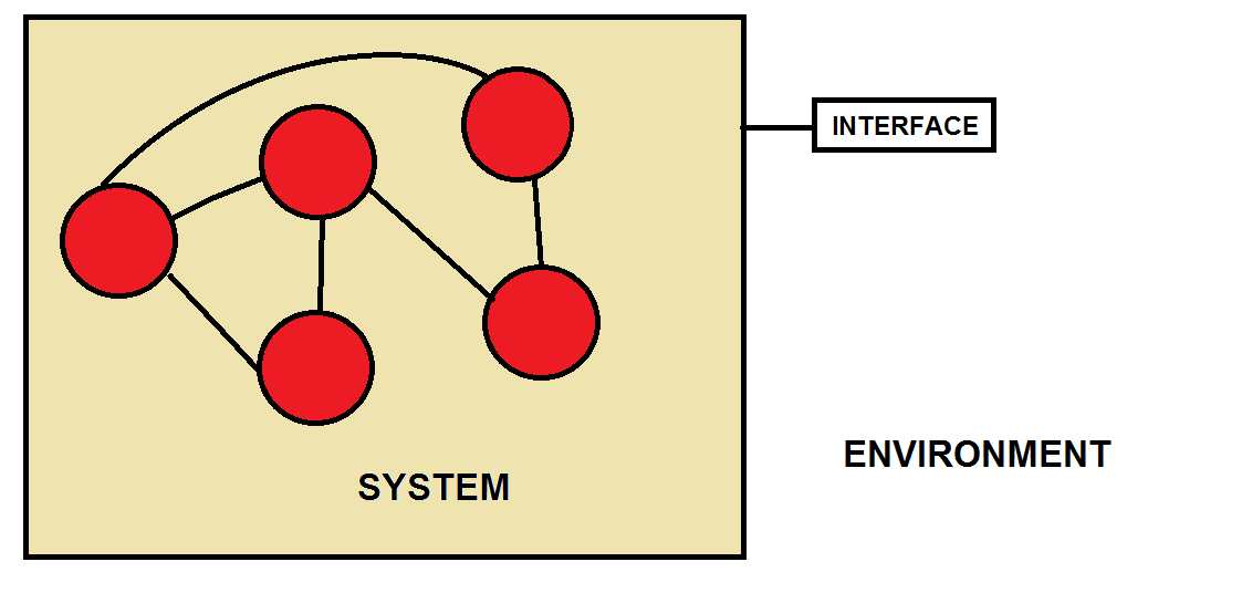 System and Environment