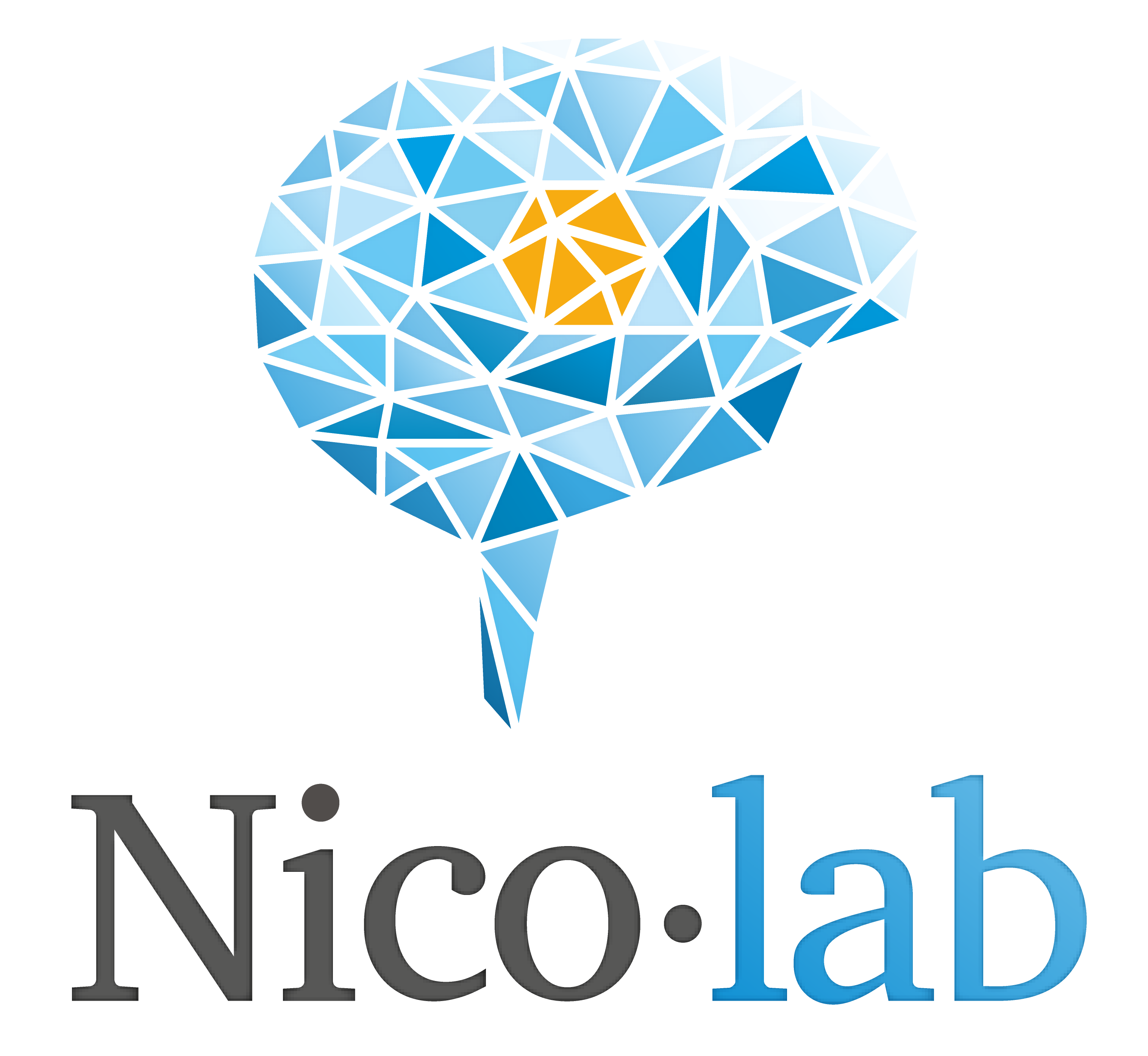 Nico lab
