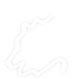 StarAI Lab logo