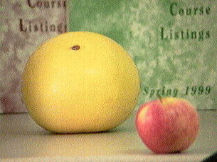 Images taken with different camera settings, for instance with different focal lengths ...