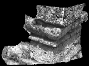 ... render the scene as if it was viewed from a novel viewpoint.