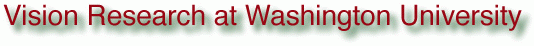 Vision Research at Washington University
