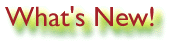 What's New!